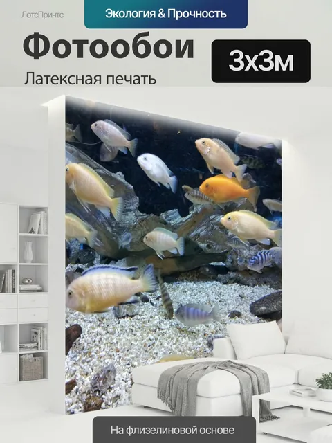 300 × 300 см · Латексная печать
