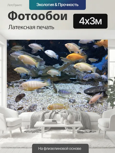 400 × 300 см · Латексная печать