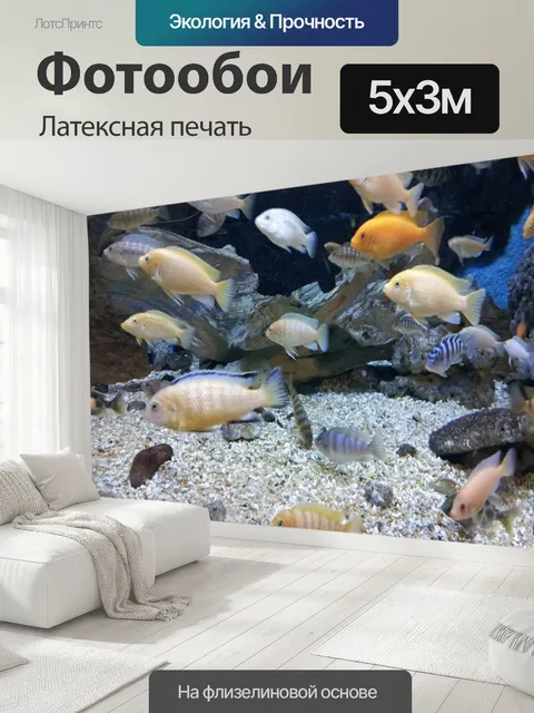 500 × 300 см · Латексная печать