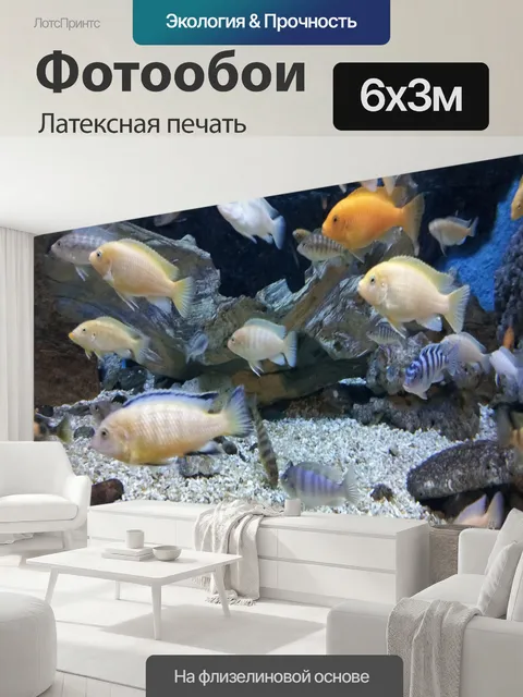 600 × 300 см · Латексная печать