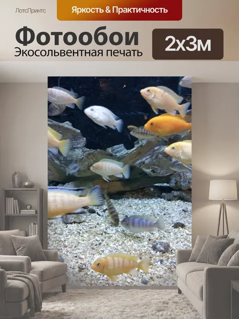 200 × 300 см · Экосольвентная печать