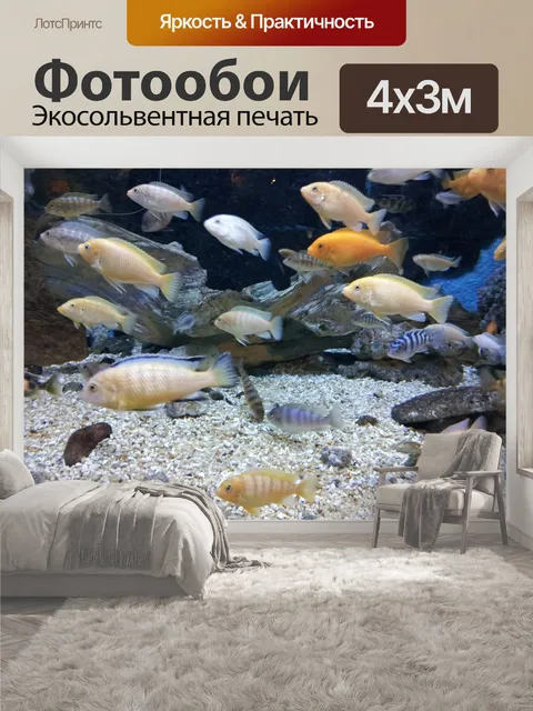 400 × 300 см · Экосольвентная печать