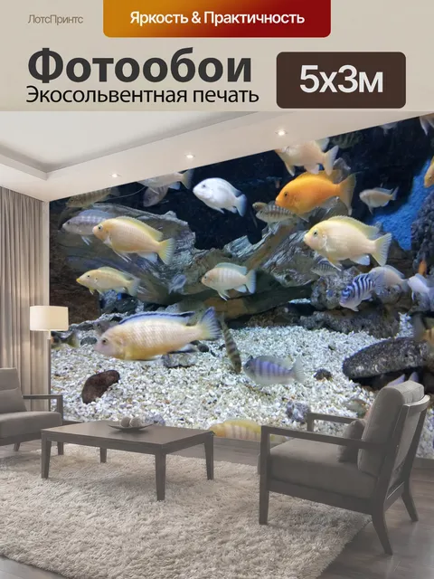500 × 300 см · Экосольвентная печать