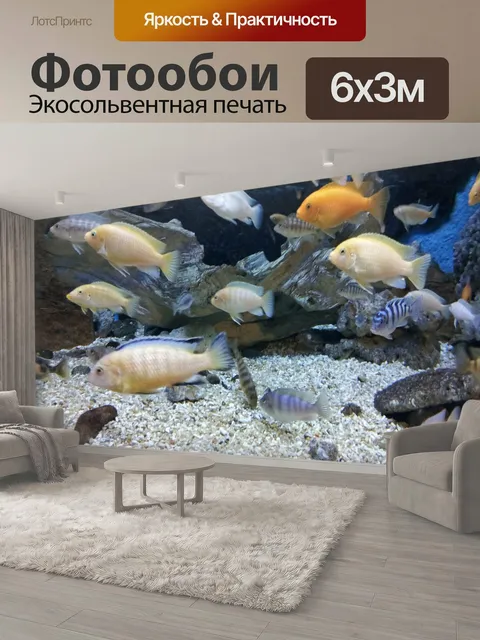 600 × 300 см · Экосольвентная печать