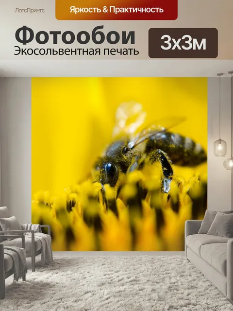 Фотообои Пчела, рабочая пчела, природа