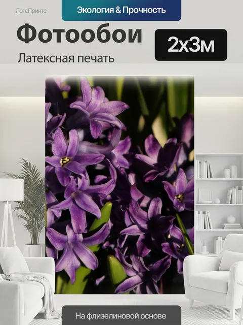 200 × 300 см · Латексная печать