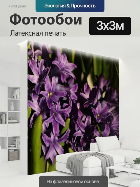 300 × 300 см · Латексная печать