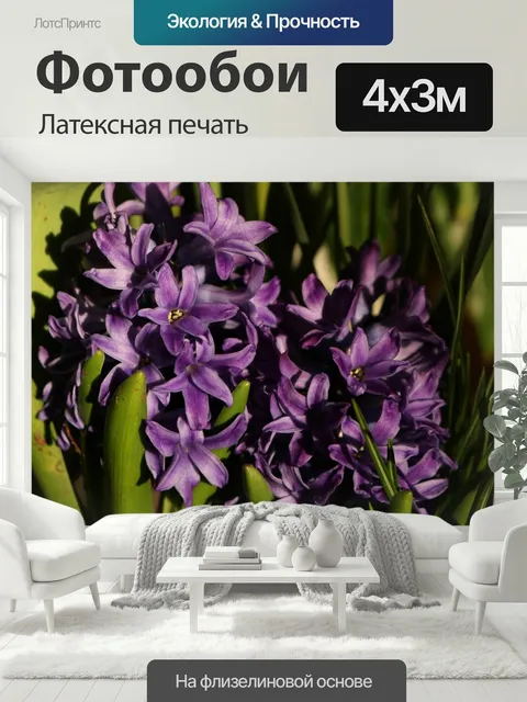 400 × 300 см · Латексная печать