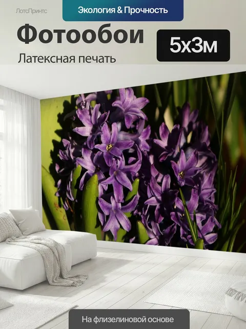 500 × 300 см · Латексная печать