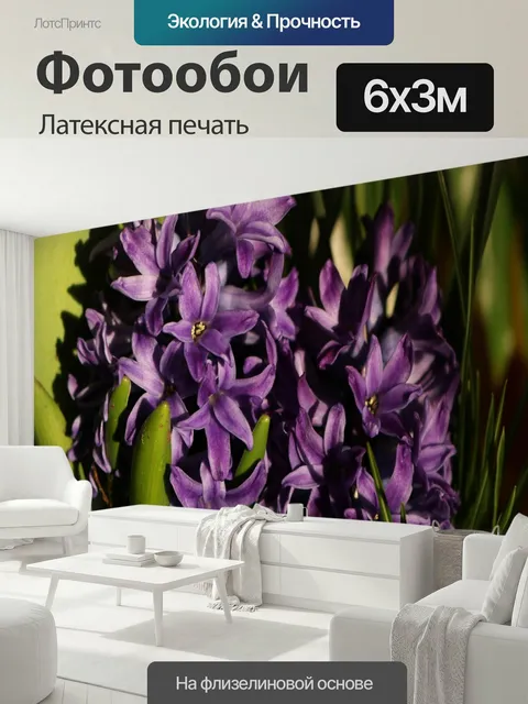 600 × 300 см · Латексная печать