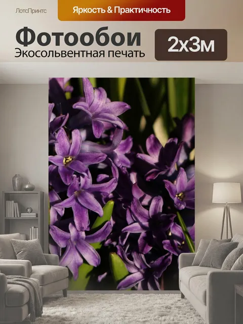 200 × 300 см · Экосольвентная печать