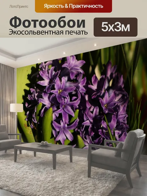 Фотообои Фиолетовый гиацинт Цветы крупным планом Конец-вверх фиолетового гиацинта цветет с зелеными листьями в свете…