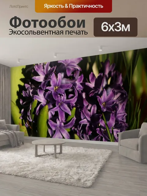 600 × 300 см · Экосольвентная печать