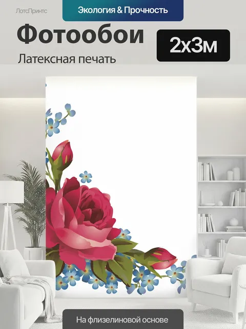 200 × 300 см · Латексная печать