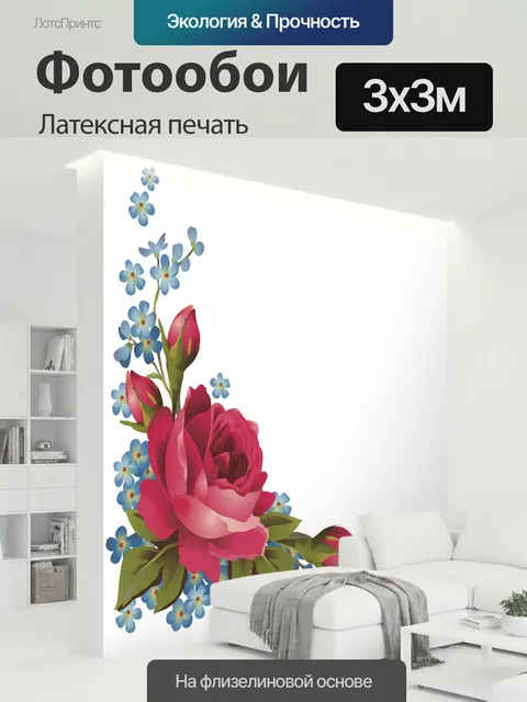 300 × 300 см · Латексная печать
