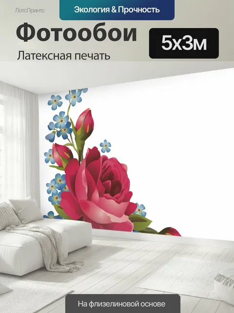 500 × 300 см · Латексная печать