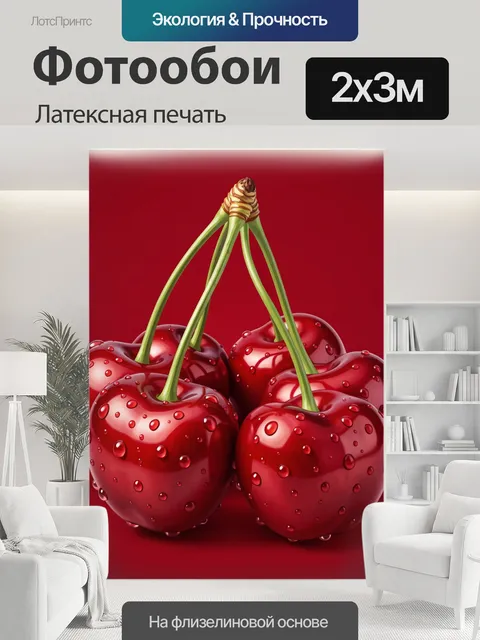 200 × 300 см · Латексная печать