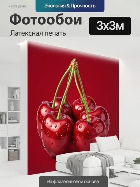 300 × 300 см · Латексная печать