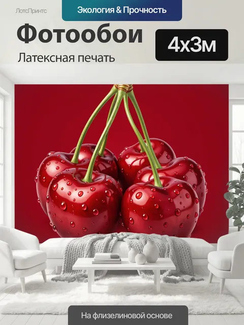 400 × 300 см · Латексная печать