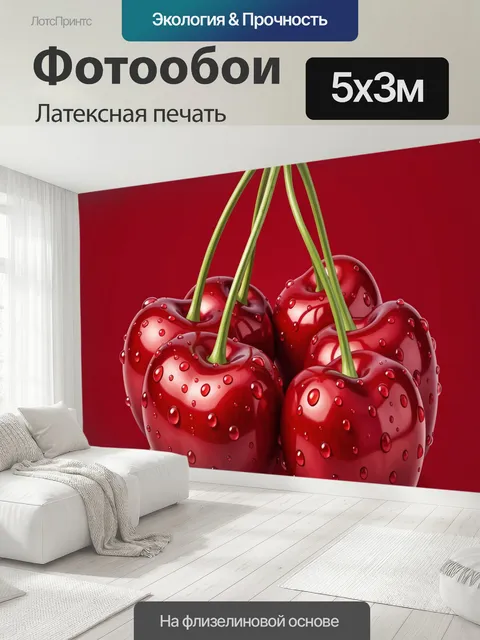 500 × 300 см · Латексная печать