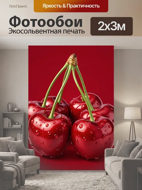 200 × 300 см · Экосольвентная печать