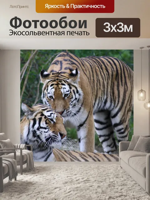 Фотообои Тигр, животные, хищник