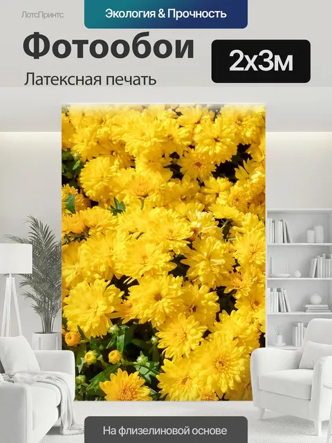 200 × 300 см · Латексная печать