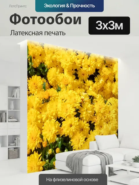 300 × 300 см · Латексная печать