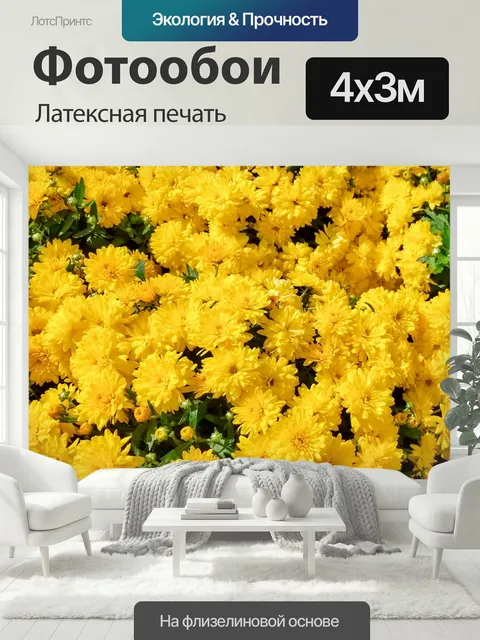 400 × 300 см · Латексная печать