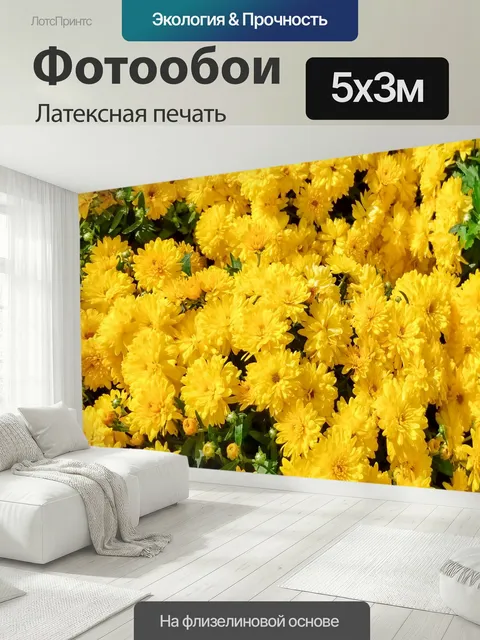 500 × 300 см · Латексная печать