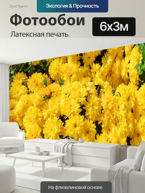 600 × 300 см · Латексная печать