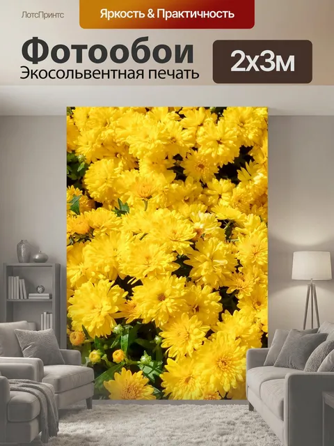 200 × 300 см · Экосольвентная печать