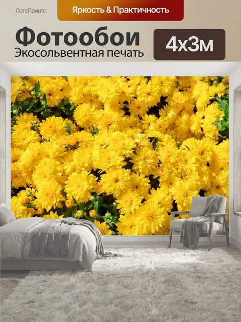 400 × 300 см · Экосольвентная печать