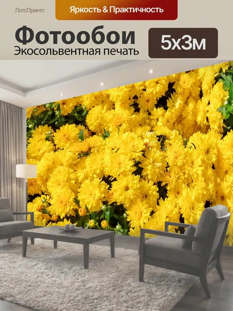 Фотообои Желтая хризантема Желтый фон хризантемы фон цветение цветущий цвести букет