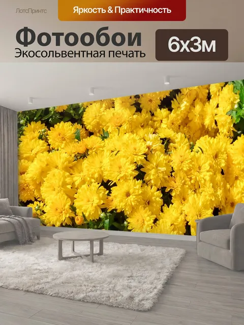 600 × 300 см · Экосольвентная печать