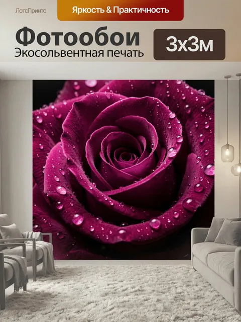 Фотообои Бордовая роза с каплями росы