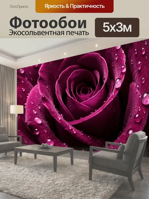 Фотообои Бордовая роза с каплями росы