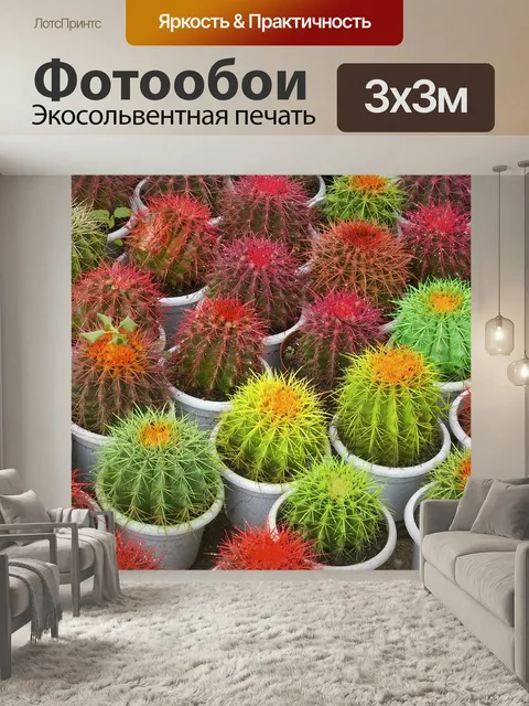 Фотообои Кактус, горшки, шипы