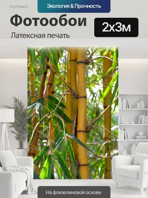 200 × 300 см · Латексная печать