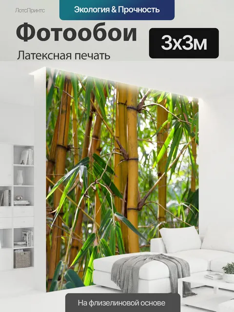 300 × 300 см · Латексная печать