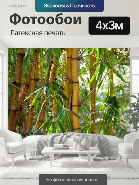 400 × 300 см · Латексная печать