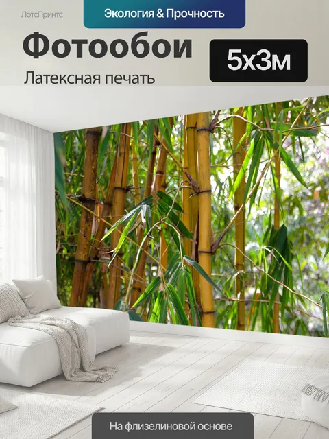 500 × 300 см · Латексная печать