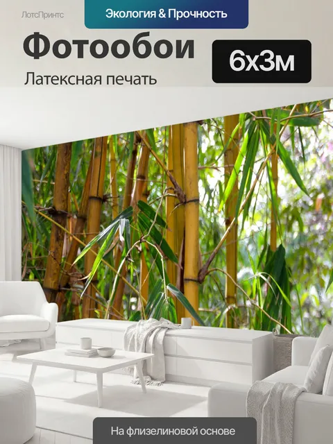 600 × 300 см · Латексная печать