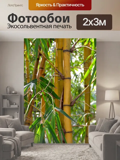 200 × 300 см · Экосольвентная печать