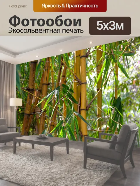 500 × 300 см · Экосольвентная печать