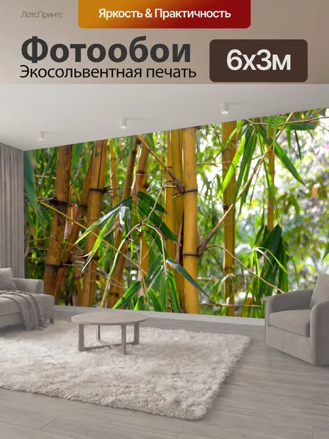 600 × 300 см · Экосольвентная печать
