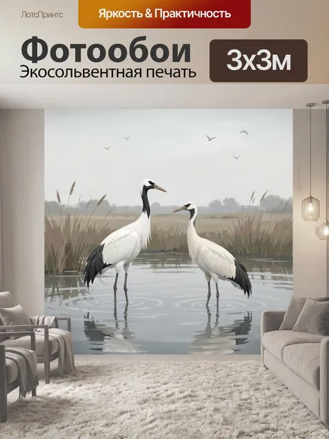 Фотообои Два журавля у тихого озера. Изящная минималистичная сцена с двумя бело-чёрными журавлями в спокойной воде, от…