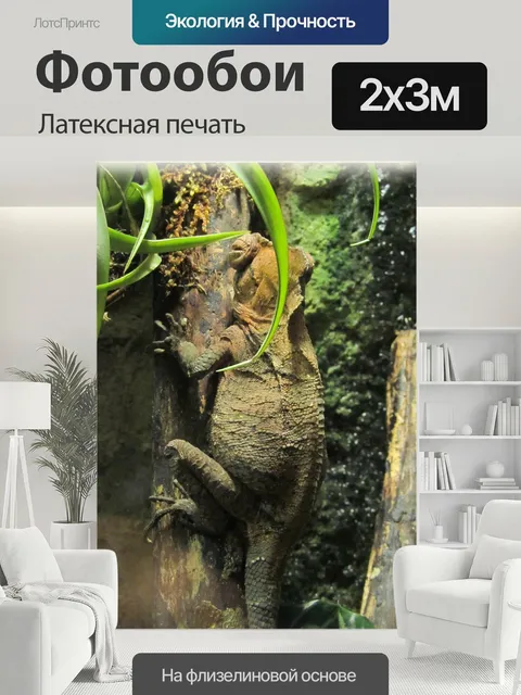 200 × 300 см · Латексная печать