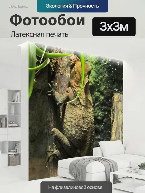 300 × 300 см · Латексная печать