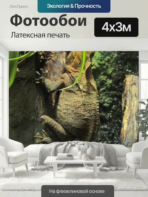 400 × 300 см · Латексная печать